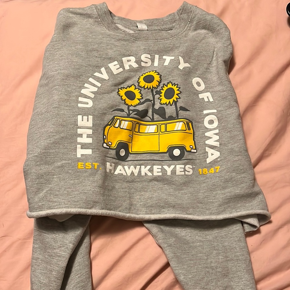 Hawkeye cropped sweater
